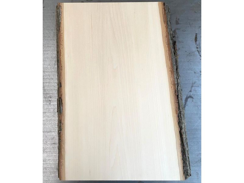 Pi�ce unique en boi tilleul massif, avec �corce, pour pyrogravure, 30-34x40 cm