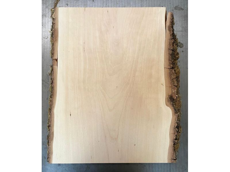 Unique piece in solid BIRCH wood, width 35 cm, height 48 cm