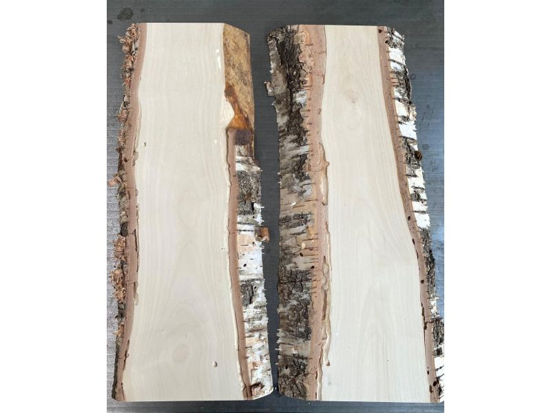 Pi�ce unique en bois de BOULEAU massif, largeur 12 cm, hauteur 43 cm avec des trous de vers � bois