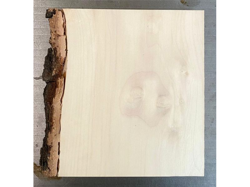 Unique piece in solid BIRCH wood, width 18 cm, height 20 cm