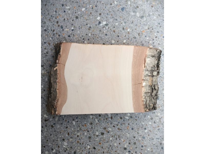 Pieza nica en madera maciza de abedul, con corteza, para pirograbado, 20x14 cm oblicua