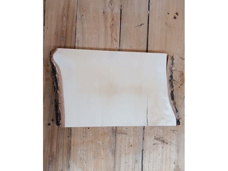 Pieza nica en madera maciza de abedul, con corteza, para pirograbado, 25x15 cm