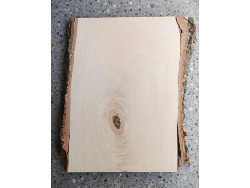 Pieza nica en madera maciza de abedul, con corteza, para pirograbado, 25x30 cm