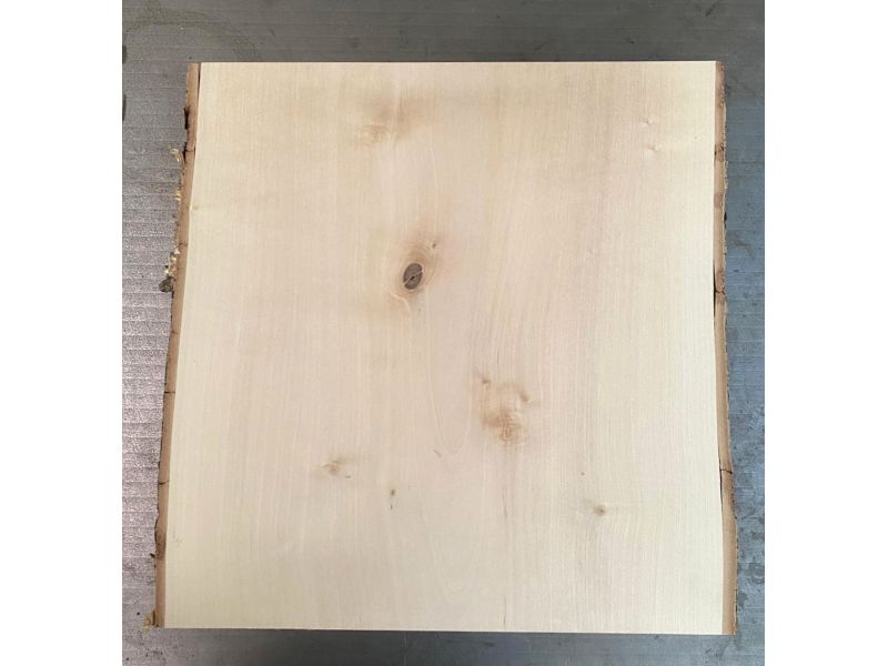 Unique piece in solid BIRCH wood, width 33 cm, height 34.5 cm with knot