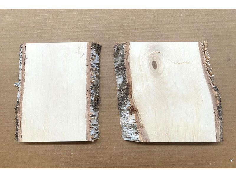 Unikat aus massivem BIRKENHOLZ, Breite 15-20 cm, H�he 20 cm mit Knoten oder Holzwurml�cher