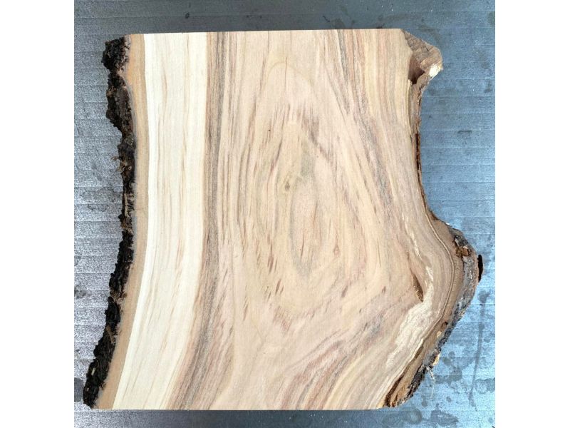 Pi�ce Unique en bois dE cerisier massif, largeur 15cm, hauteur 18 cm