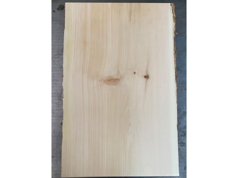 Pezzo unico in legno massiccio di Cirmolo con corteccia, per pirografia, 30x46 cm