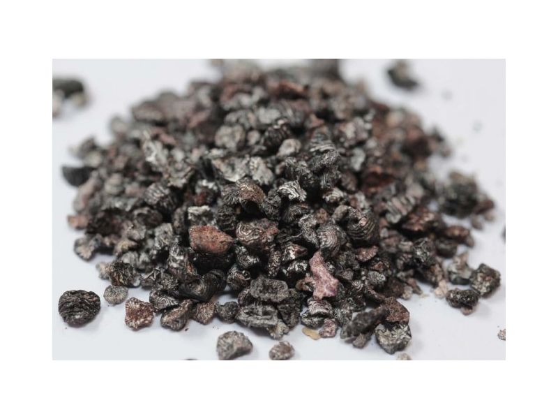 COCHINEAL insect dried