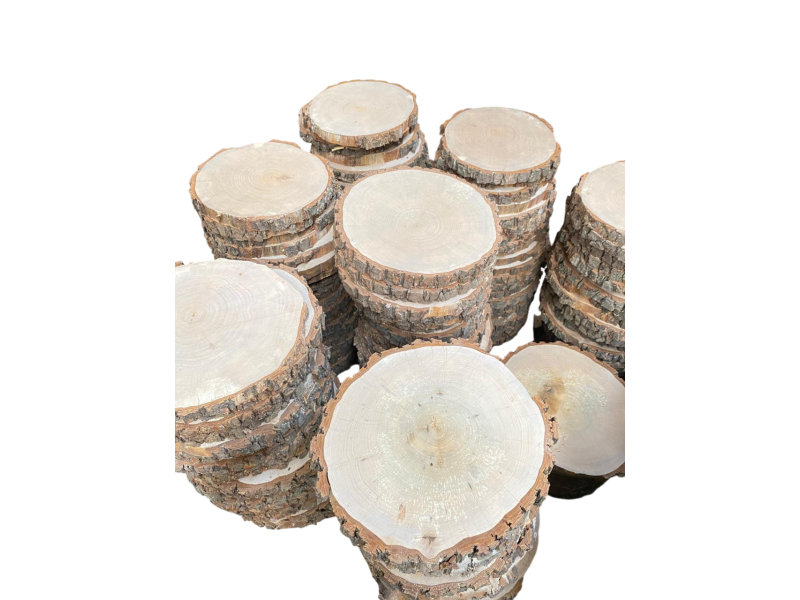 Ensemble de 5 pices diverses RONDES en bois d'Aulne, avec corce, pour pyrogravure