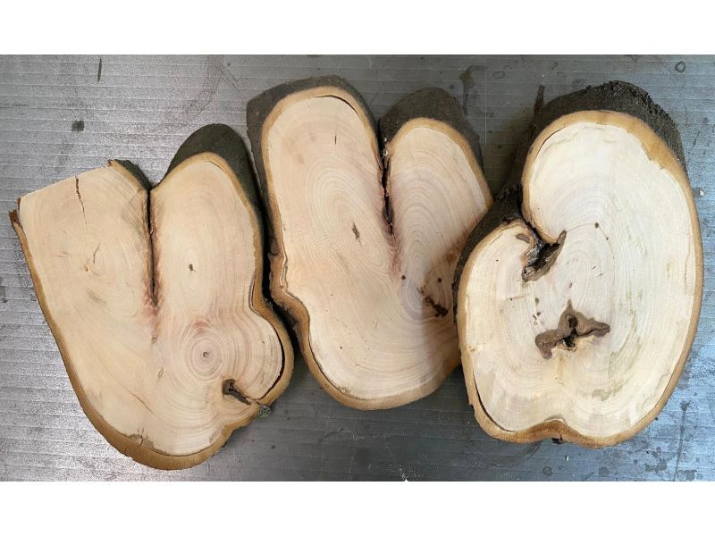 Irregular piece in laurel wood , with bark, for pyrography 14x22 cm