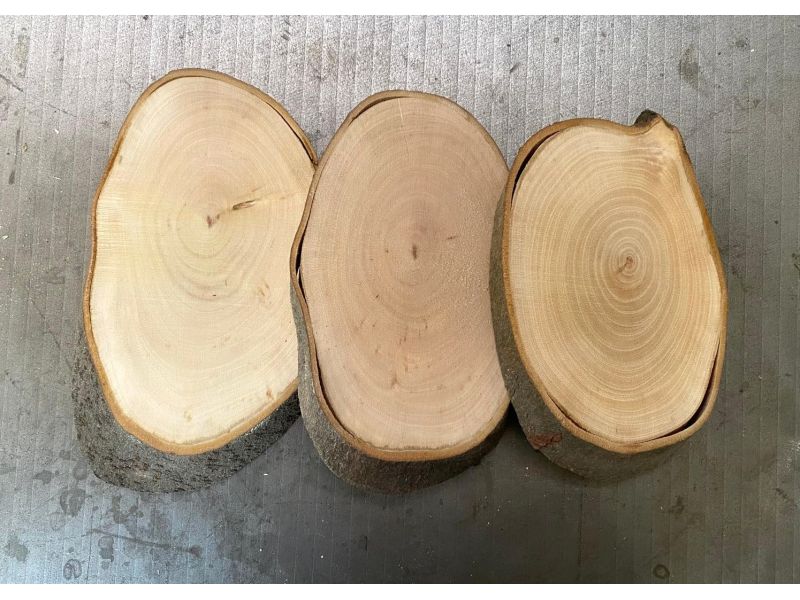 Irregular oval piece in laurel wood , with bark, for pyrography 11-12x16-20 cm