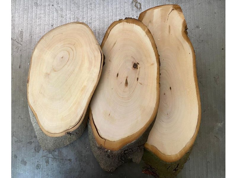 Pezzo ovale irregolare  in legno di lauro, con corteccia, per pirografia 11-13x24-30cm
