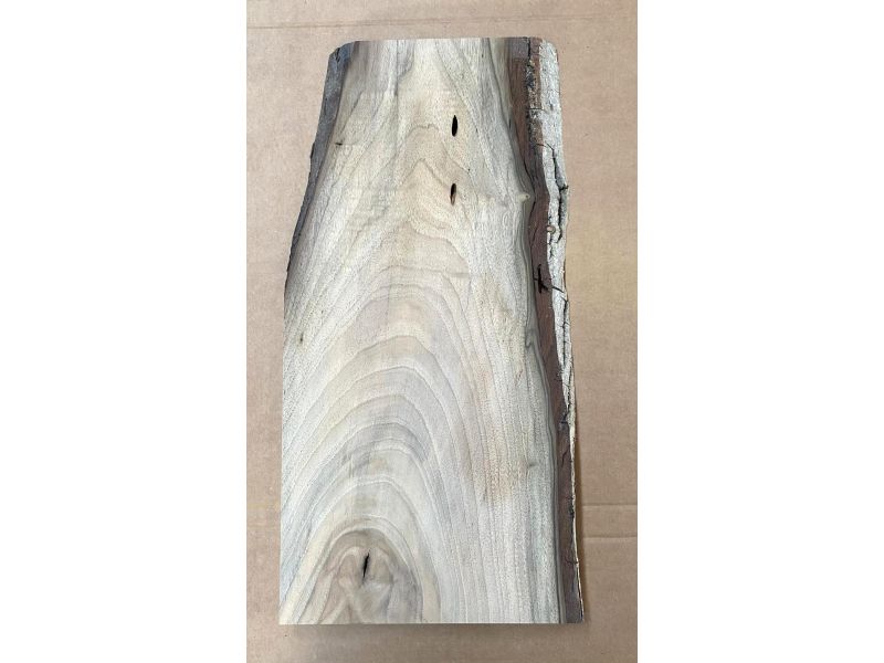 Pezzo unico in legno massiccio di NOCE, larghezza 26 cm, altezza 56 cm, CON FORI TARLO