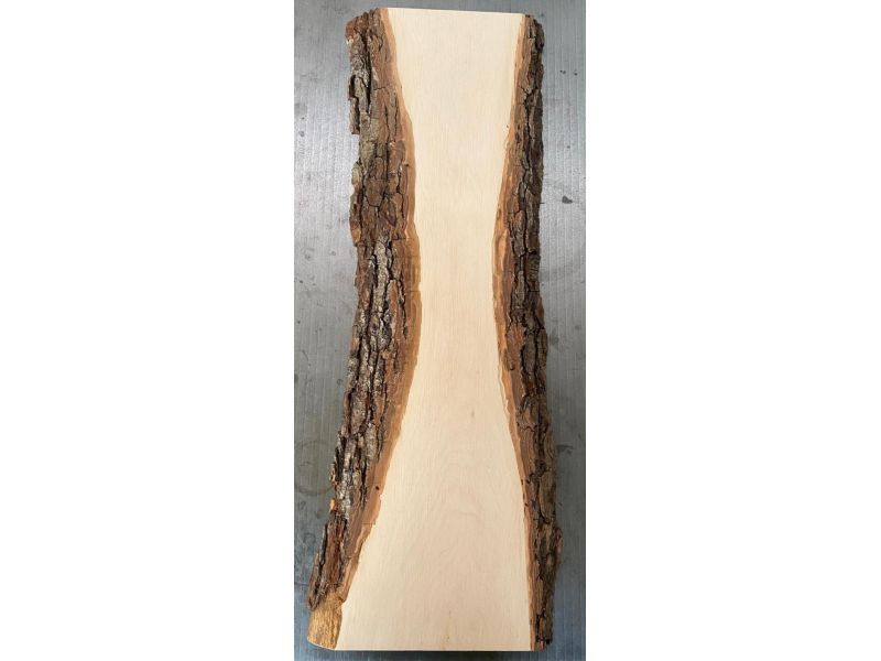 Unique piece in solid alder wood, with bark, for pyrography, 15x70 cm