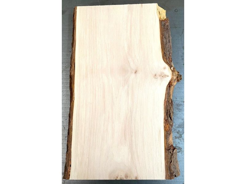 Pi�ce unique en bois d'aulne massif, avec �corce, pour pyrogravure, 20x35 cm
