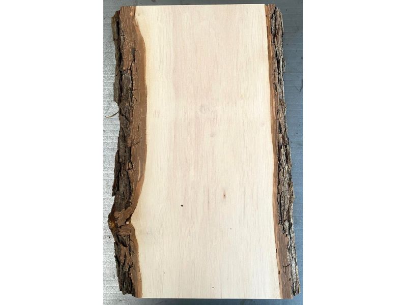 Unique piece in solid alder wood, with bark, for pyrography, 20x40 cm