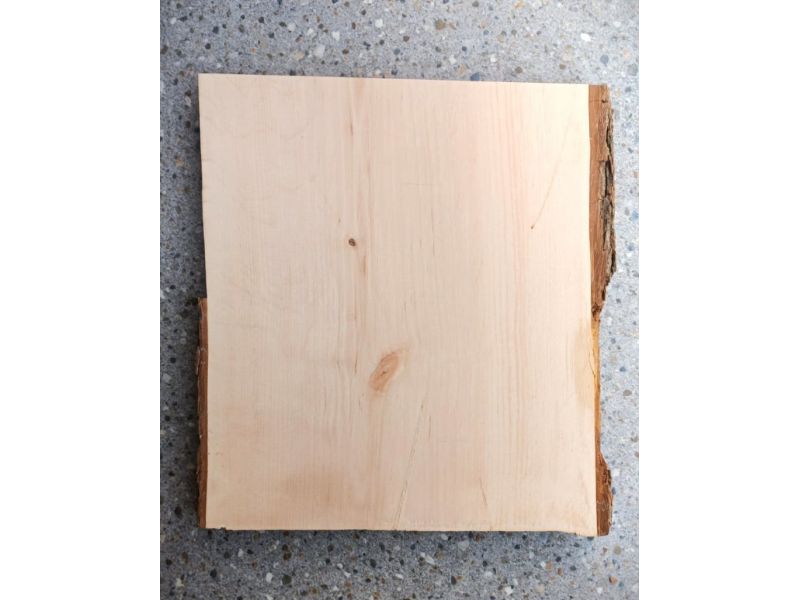 Pezzo unico in legno massiccio di Ontano, con corteccia, per pirografia, 29x31 cm