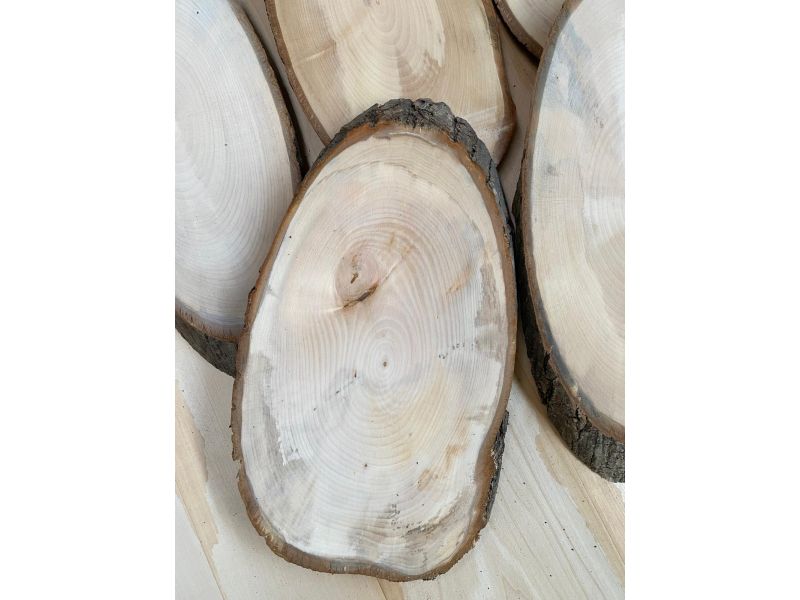 Set di 5 pezzi vari OVALI in legno di Tiglio, con corteccia, per pirografia