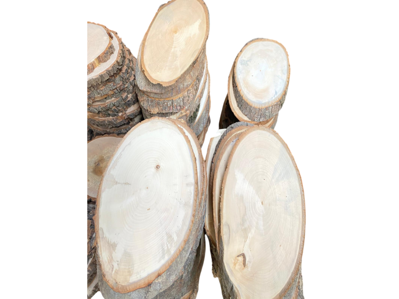 Set di 5 pezzi vari OVALI in legno di Tiglio, con corteccia, per pirografia