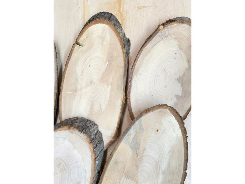 Set di 5 pezzi vari OVALI in legno di Tiglio, con corteccia, per pirografia