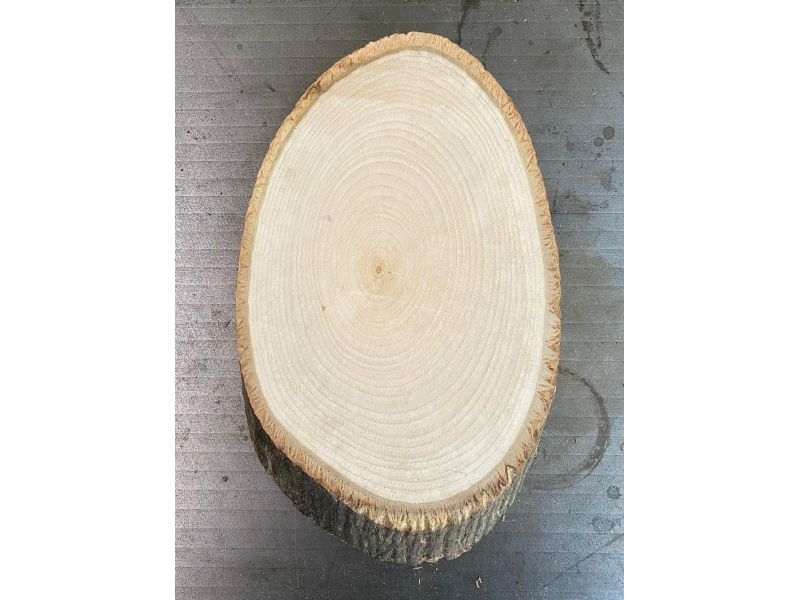 OVAL pieces in lindenwood, with bark, for pyrography 15x24