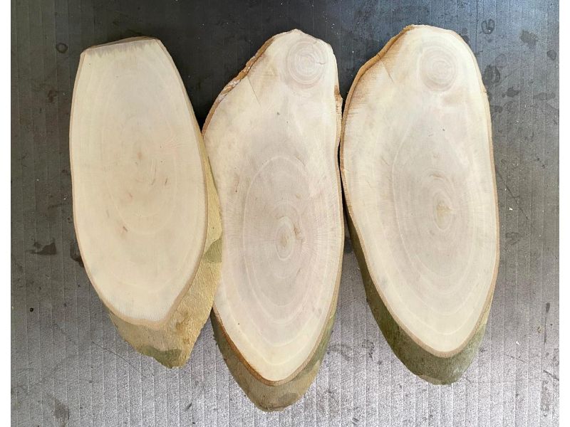 Oval piece in plane wood , with bark, for pyrography 9-12x18-23 cm
