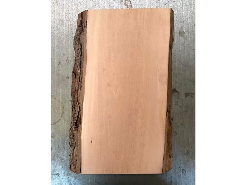Pezzo in legno massiccio di pero con corteccia, per pirografia, 15-16x30 cm