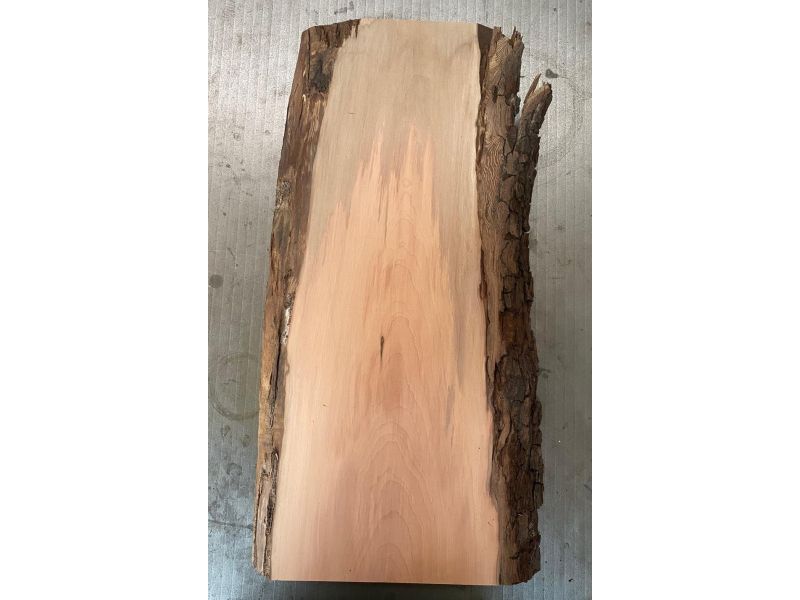 Pezzo in legno massiccio di pero con corteccia, per pirografia, 16x49 cm