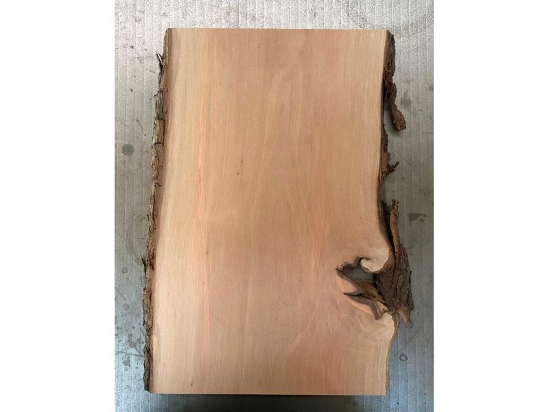 Pezzo in legno massiccio di pero con corteccia, per pirografia, 21x36 cm