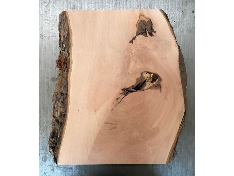 Pezzo in legno massiccio di pero con corteccia, per pirografia, 25x36 cm
