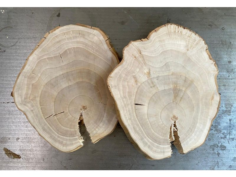 Irregular oval piece in plane wood , with bark, for pyrography 24x33 cm
