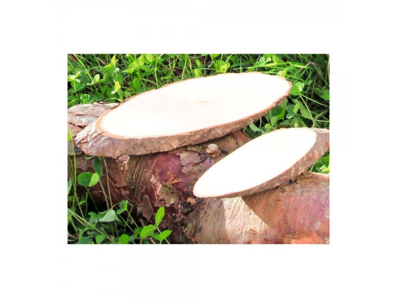 Various OVAL pieces in Alder wood, with bark, for pyrography