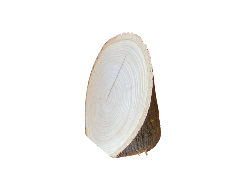 Pezzo unico tronchetto in Tiglio, con corteccia, obliquo, per pirografia, faccia 16x23 cm