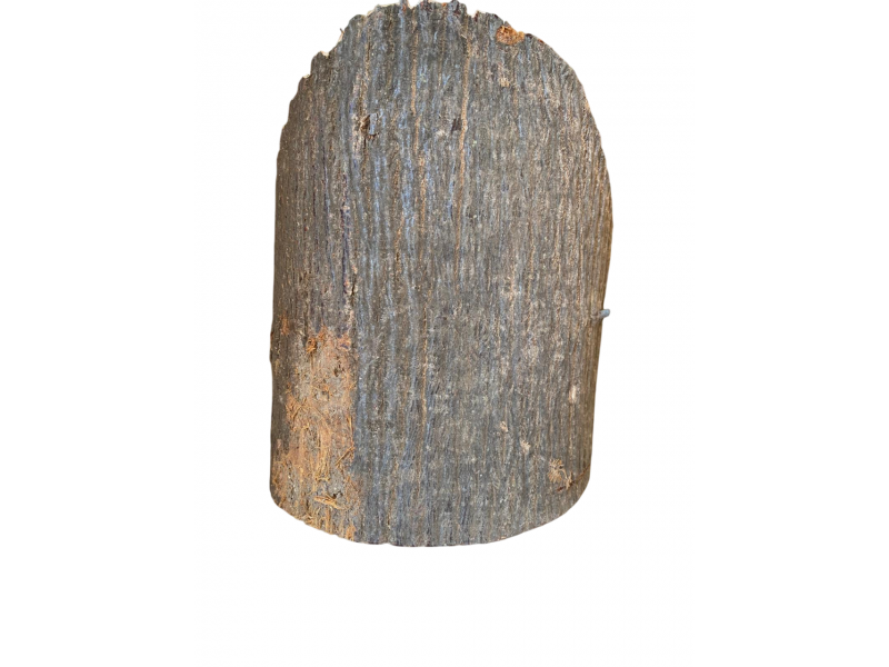 Pezzo unico tronchetto in Tiglio, con corteccia, obliquo, per pirografia, faccia 16x23 cm