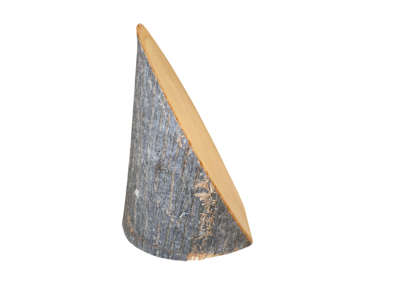 Pezzo unico tronchetto in Tiglio, con corteccia, obliquo, per pirografia, faccia 16x23 cm