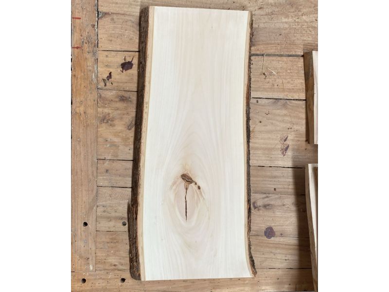 Pezzo unico in legno massiccio di tiglio con corteccia, per pirografia, 25x55 cm