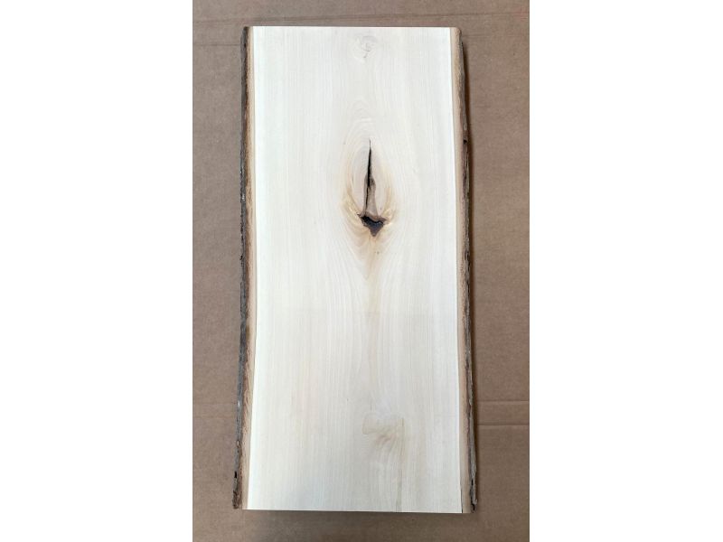 Pezzo unico in massiccio di Tiglio, con corteccia, per pirografia, 27x61 cm con nodo