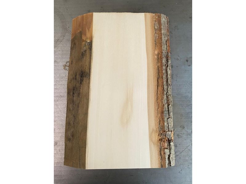Unique piece in solid lime wood, with bark, for pyrography, 15x33 cm