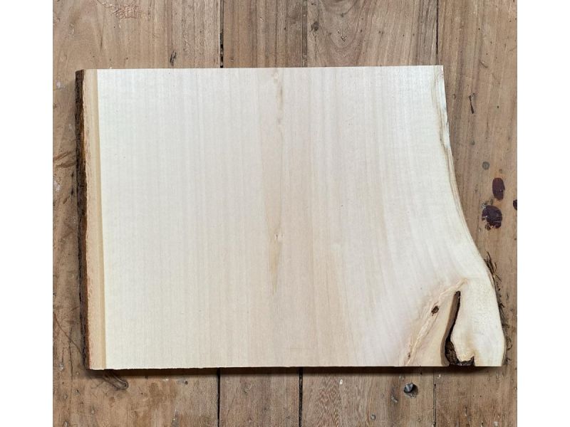 Pieza nica en madera maciza de tilo con corteza, para pirograbado, 18x20 cm