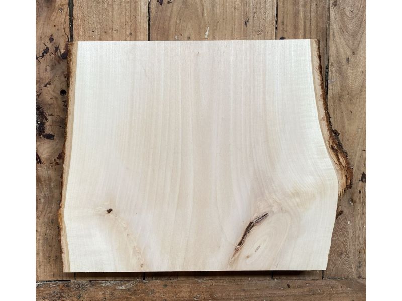 Pezzo unico in legno massiccio di tiglio con corteccia, per pirografia, 18x25 cm