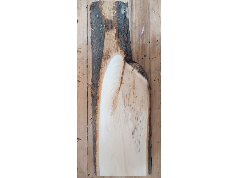 Pezzo unico in legno massiccio di Tiglio, con corteccia, per pirografia, 19x59 cm