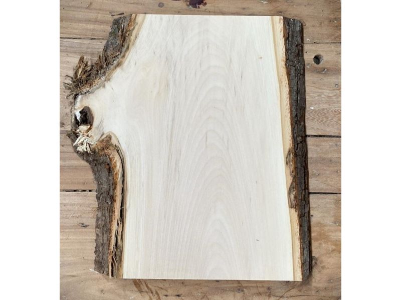 Pice unique en bois de tilleul massif avec corce, pour pyrogravure, 20x25 cm