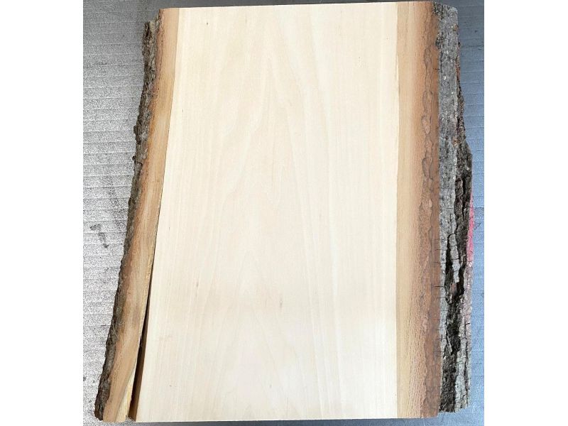 Pi�ce unique en bois de tilleul massif avec �corce, pour pyrogravure, 20x30 cm