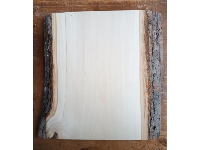 Einzelstck aus massivem LIME-Holz, Breite 23 cm, Hhe 30 cm