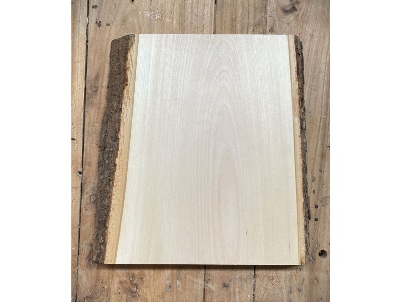 Pezzo unico in legno massiccio di tiglio con corteccia, per pirografia, 23x25 cm