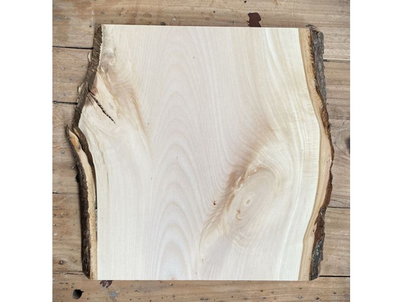 Pieza nica en madera maciza de tilo con corteza, para pirograbado, 24x25 cm