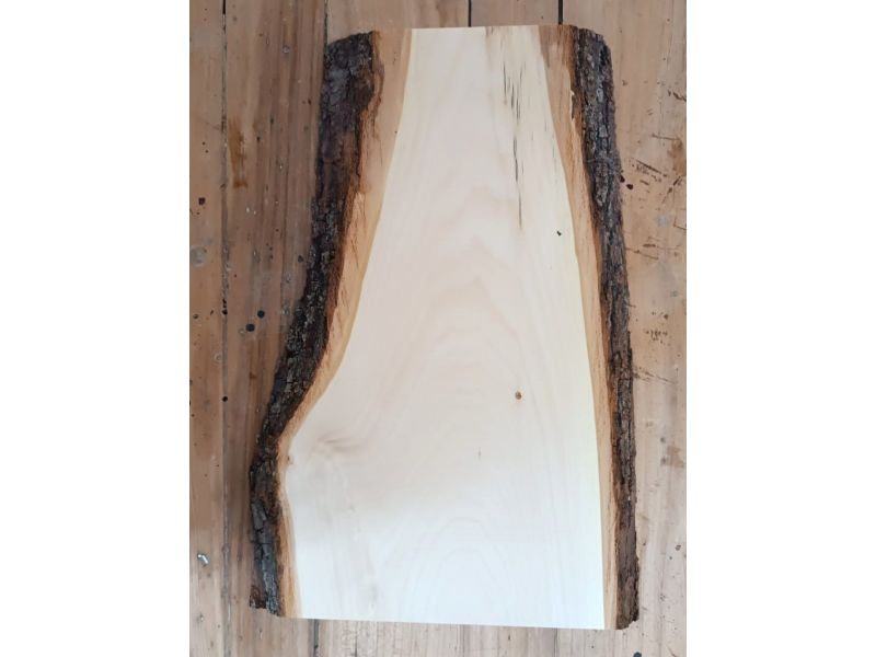 Pezzo unico in legno massiccio di Tiglio, con corteccia, per pirografia, 24x37 cm