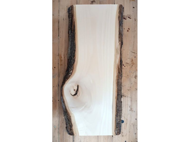 Pezzo unico in legno massiccio di Tiglio, con corteccia, per pirografia, 24x50 cm