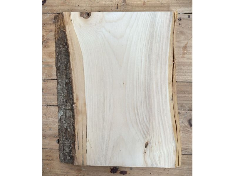 Pieza nica en madera maciza de tilo con corteza, para pirograbado, 25x31 cm