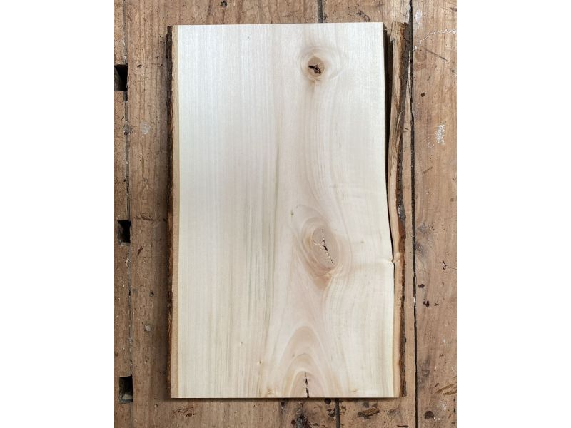 Pieza nica en madera maciza de tilo con corteza, para pirograbado, 25x40 cm